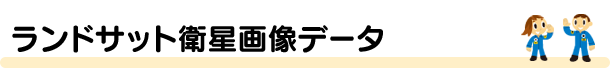 ランドサット衛星画像データ