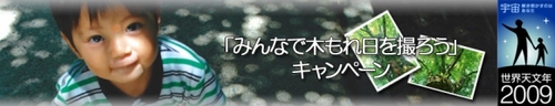 みんなで木もれ日を撮ろう!!